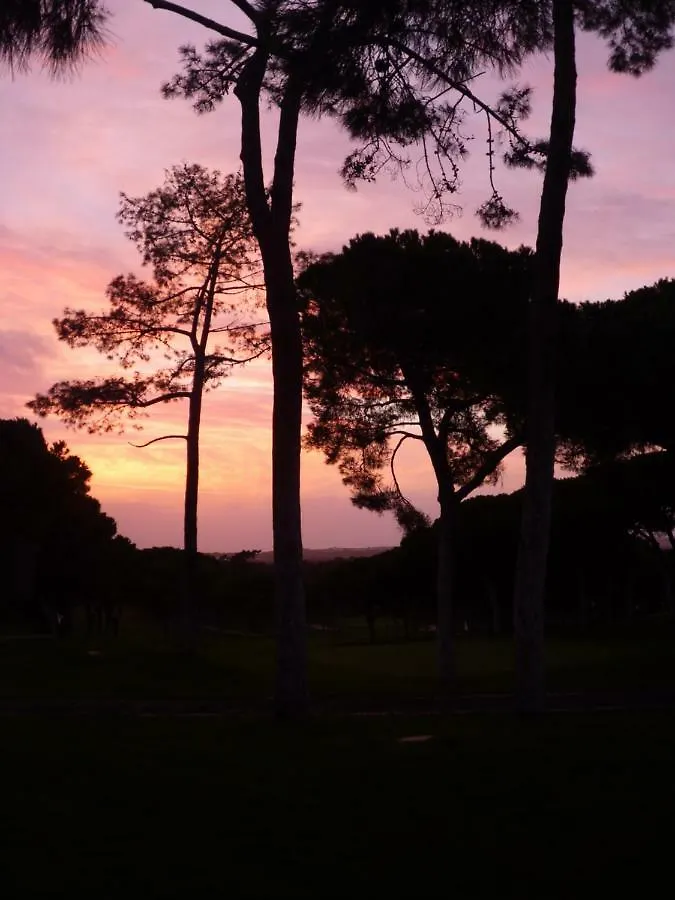 Quarteira Al-Sakia Algarve