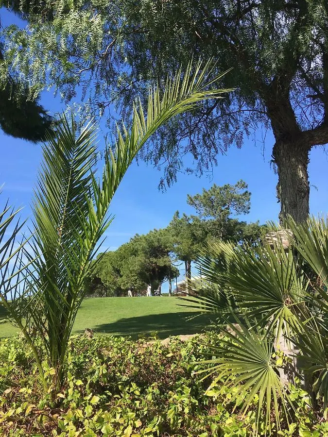 Quarteira Al-Sakia Algarve Apartment